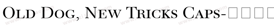 Old Dog, New Tricks Caps字体转换
